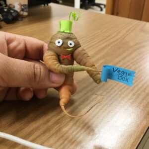 Phil the Carrot, wearing a green paper hat holding a blue sign that says, Veggie box.